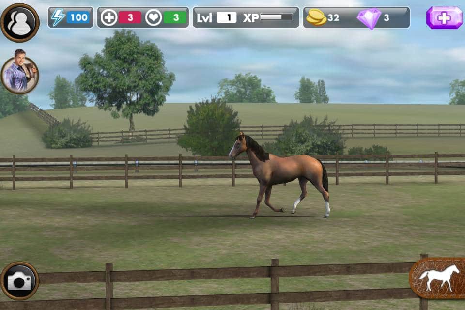 App UI Design My Horse game, Natural Motion